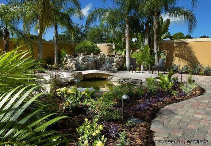 Courtyard Tampa Oldsmar Hotell Eksteriør bilde